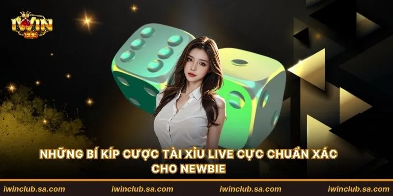 Những bí kíp cược tài xỉu live cực chuẩn xác cho newbie